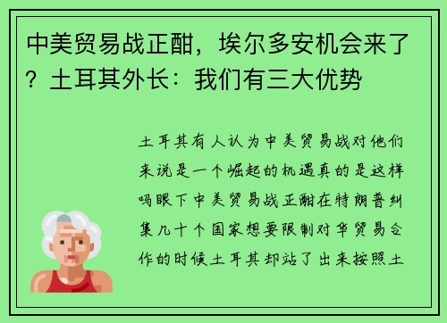 中美贸易战正酣，埃尔多安机会来了？土耳其外长：我们有三大优势