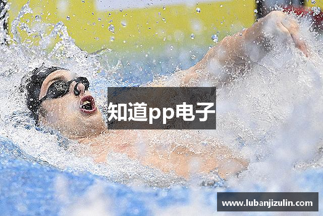 知道pp电子