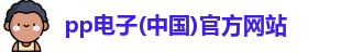 pp电子